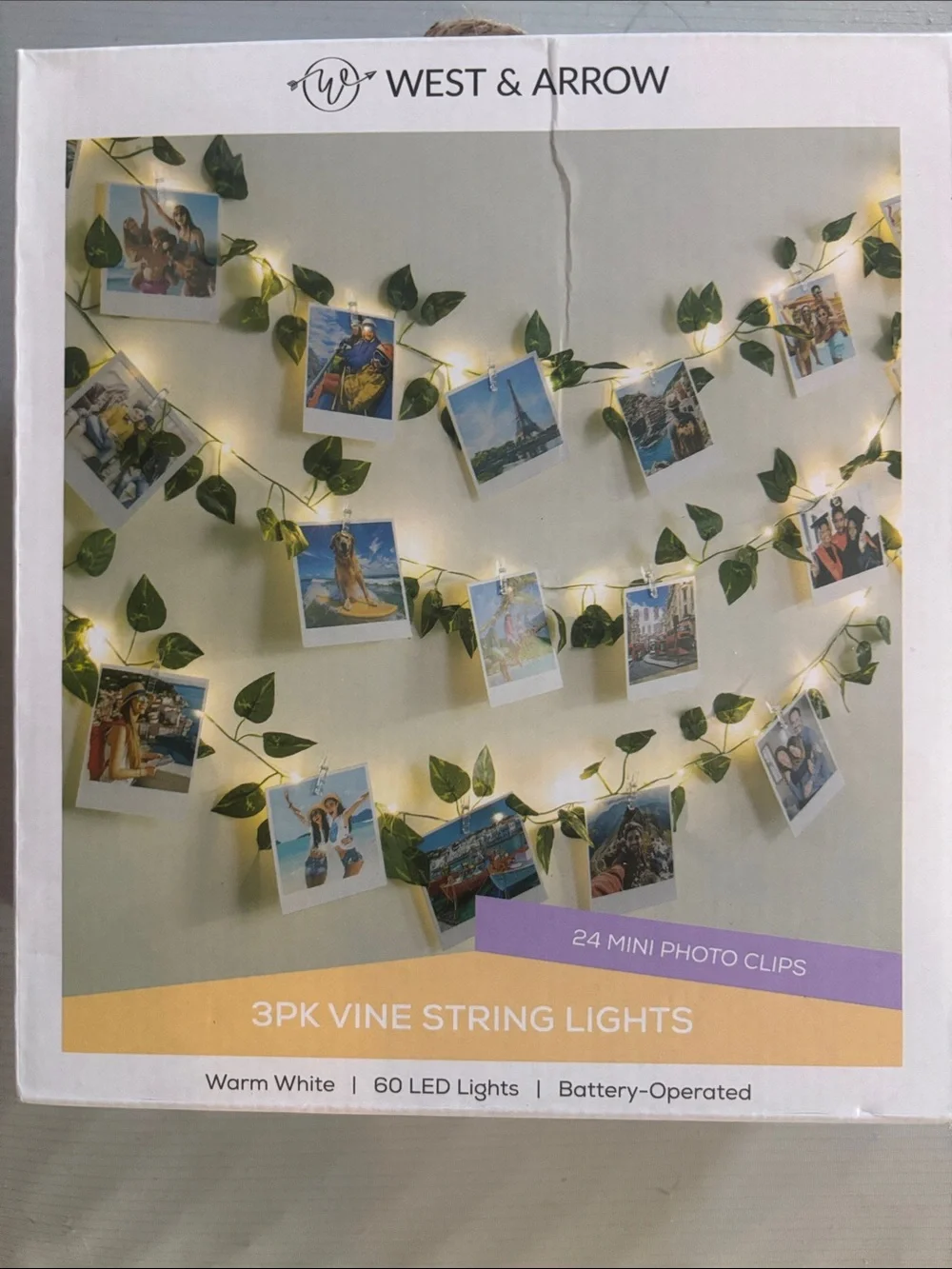 Green Vine String Lights with Warm White LEDs and Photo Clips